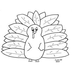 着色页: 火鸡 (动物) #5318 - 免费可打印着色页