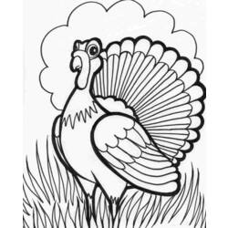 着色页: 火鸡 (动物) #5322 - 免费可打印着色页