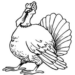 着色页: 火鸡 (动物) #5324 - 免费可打印着色页