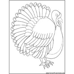 着色页: 火鸡 (动物) #5472 - 免费可打印着色页