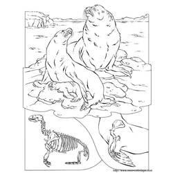 着色页: 海象 (动物) #16606 - 免费可打印着色页