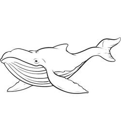 着色页: 鲸 (动物) #865 - 免费可打印着色页