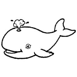 着色页: 鲸 (动物) #875 - 免费可打印着色页