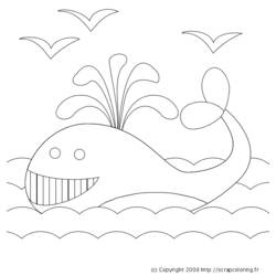 着色页: 鲸 (动物) #889 - 免费可打印着色页