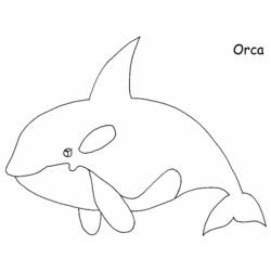 着色页: 鲸 (动物) #891 - 免费可打印着色页