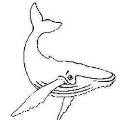 着色页: 鲸 (动物) #894 - 免费可打印着色页