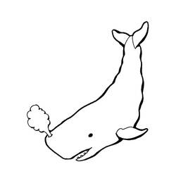 着色页: 鲸 (动物) #896 - 免费可打印着色页