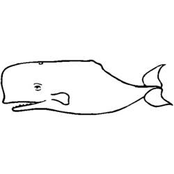着色页: 鲸 (动物) #903 - 免费可打印着色页
