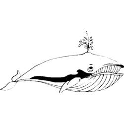 着色页: 鲸 (动物) #904 - 免费可打印着色页