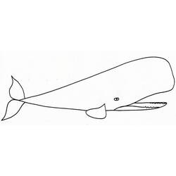 着色页: 鲸 (动物) #929 - 免费可打印着色页