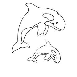 着色页: 鲸 (动物) #932 - 免费可打印着色页
