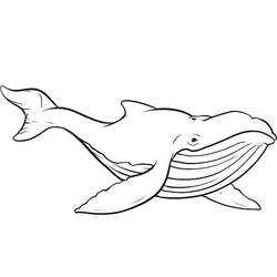 着色页: 鲸 (动物) #934 - 免费可打印着色页