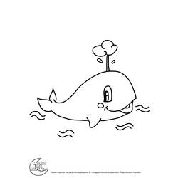 着色页: 鲸 (动物) #939 - 免费可打印着色页