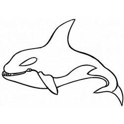 着色页: 鲸 (动物) #941 - 免费可打印着色页