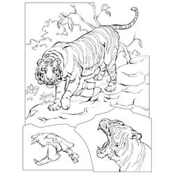 着色页: 野生/丛林动物 (动物) #21343 - 免费可打印着色页