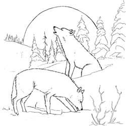 着色页: 狼 (动物) #10439 - 免费可打印着色页