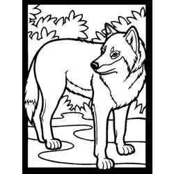 着色页: 狼 (动物) #10440 - 免费可打印着色页