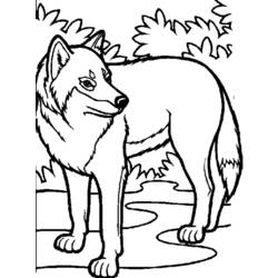 着色页: 狼 (动物) #10448 - 免费可打印着色页