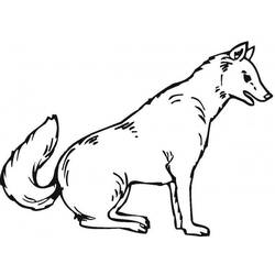着色页: 狼 (动物) #10452 - 免费可打印着色页