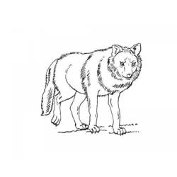 着色页: 狼 (动物) #10501 - 免费可打印着色页