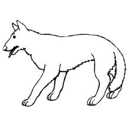 着色页: 狼 (动物) #10505 - 免费可打印着色页