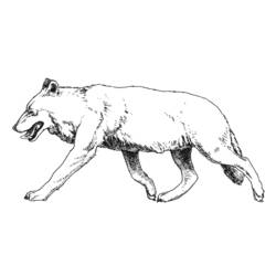 着色页: 狼 (动物) #10530 - 免费可打印着色页