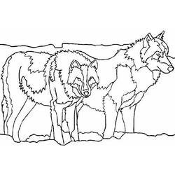 着色页: 狼 (动物) #10535 - 免费可打印着色页