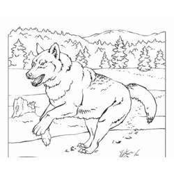 着色页: 狼 (动物) #10543 - 免费可打印着色页