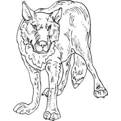 着色页: 狼 (动物) #10547 - 免费可打印着色页