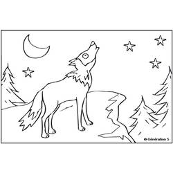 着色页: 狼 (动物) #10558 - 免费可打印着色页
