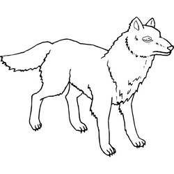 着色页: 狼 (动物) #10600 - 免费可打印着色页