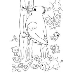 着色页: 啄木鸟 (动物) #16677 - 免费可打印着色页