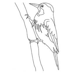 着色页: 啄木鸟 (动物) #16680 - 免费可打印着色页