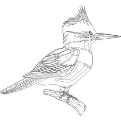 着色页: 啄木鸟 (动物) #16747 - 免费可打印着色页
