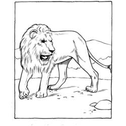 着色页: 动物园 (动物) #12656 - 免费可打印着色页