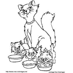 着色页: 贵族猫 (动画电影) #26864 - 免费可打印着色页