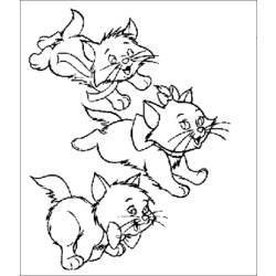 着色页: 贵族猫 (动画电影) #26955 - 免费可打印着色页