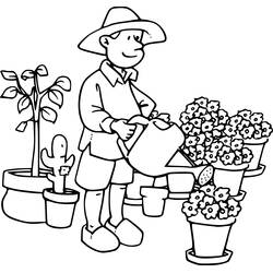 着色页: 花商 - 免费可打印着色页