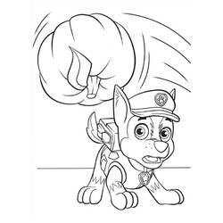 着色页: PAW Patrol阿奇 (卡通人物) #181656 - 免费可打印着色页