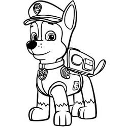 着色页: PAW Patrol阿奇 (卡通人物) #181661 - 免费可打印着色页