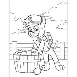 着色页: PAW Patrol阿奇 (卡通人物) #181664 - 免费可打印着色页