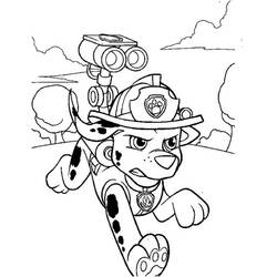 着色页: PAW Patrol马库斯 (卡通人物) #181671 - 免费可打印着色页