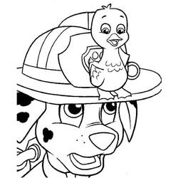 着色页: PAW Patrol马库斯 (卡通人物) #181678 - 免费可打印着色页