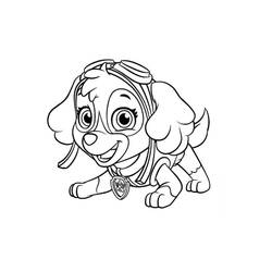 着色页: PAW Patrol史黛拉 (卡通人物) #181703 - 免费可打印着色页