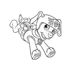 着色页: PAW Patrol阿美 (卡通人物) #181695 - 免费可打印着色页