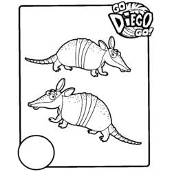 着色页: Go Diego! (卡通和动画节目) #48546 - 免费可打印着色页