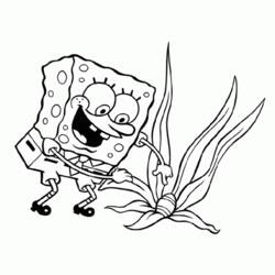 着色页: SquareBob SquarePants (卡通和动画节目) #33530 - 免费可打印着色页