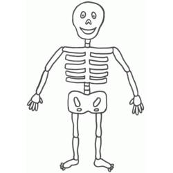 着色页: 骨骼 (人物) #147411 - 免费可打印着色页