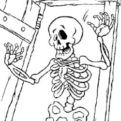 着色页: 骨骼 (人物) #147422 - 免费可打印着色页