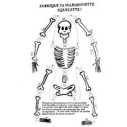 着色页: 骨骼 (人物) #147442 - 免费可打印着色页